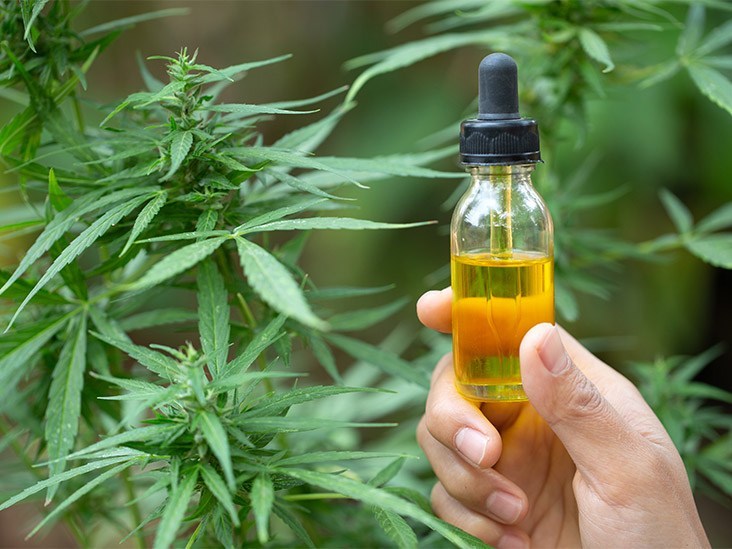 How Does The CBD Oil Work in The Body?
